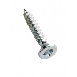 Countersunk Sentinel Security Woodscrew