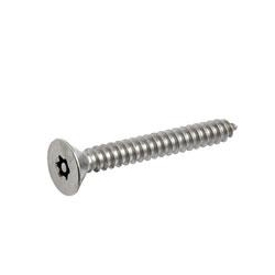 Countersunk Security Self Tapping Stainless Steel