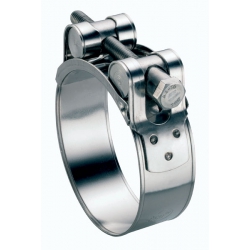 Mild Steel Zinc Plated T Bolt Clamps