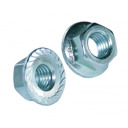 Stainless Steel Hexagon Serrated Flange Nuts A2 & A4 DIN 6923