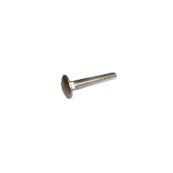 M6 x 30 Stainless Steel Coach Bolt Only, A2 (304) DIN 603 (Nuts not supplied)